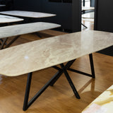 Taj Mahal quartz stone Deens Ovaal 240x100